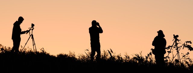 Three birdwatchers in silhouette on a low rise against an orange sky, two standing behind tripod-mounted telescopes and one with binoculars raised.