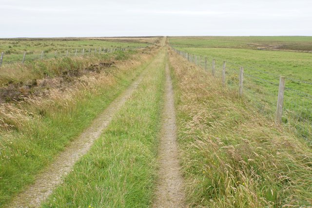 A green double track running away between wire fences across open grazing land, under a broad pale sky.